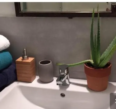 Fiore Delle 5 Terre בית הארחה לה ספציה